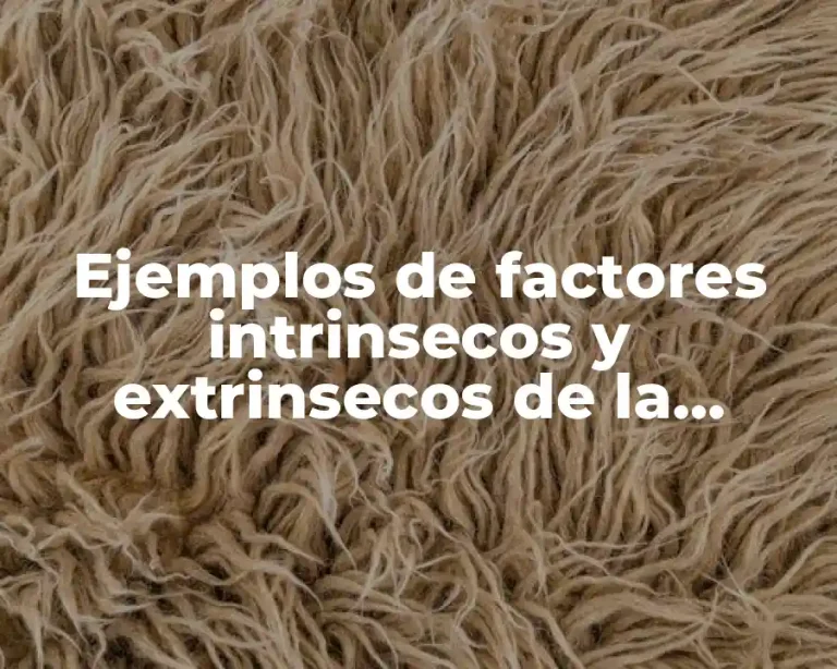 Ejemplos de factores intrinsecos y extrinsecos de la motivación