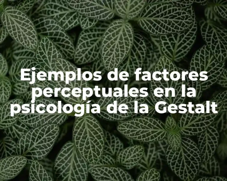 Ejemplos de factores perceptuales en la psicología de la Gestalt
