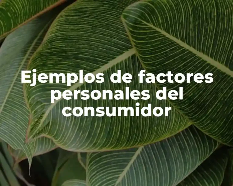 Ejemplos de factores personales del consumidor
