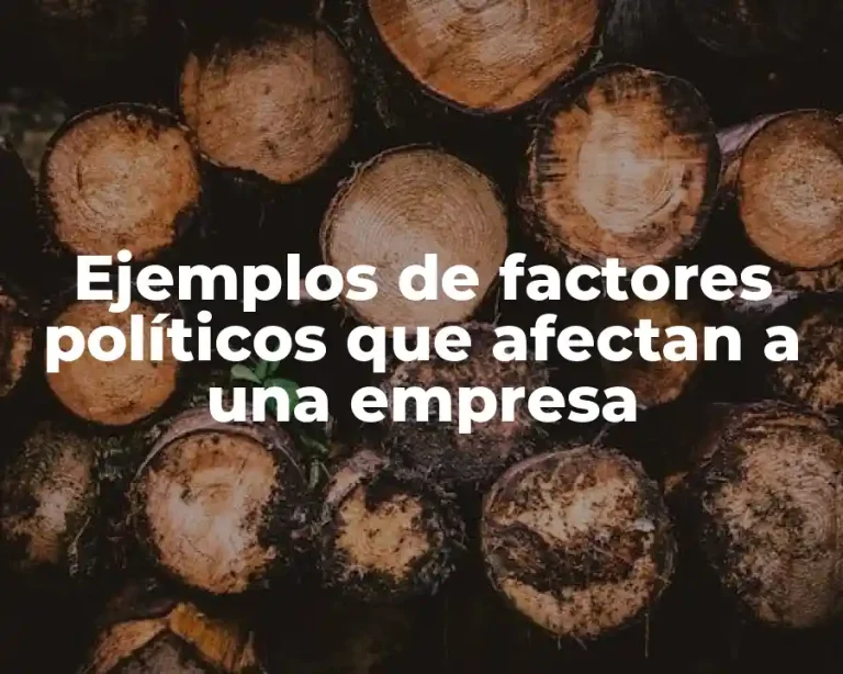 Ejemplos de factores políticos que afectan a una empresa
