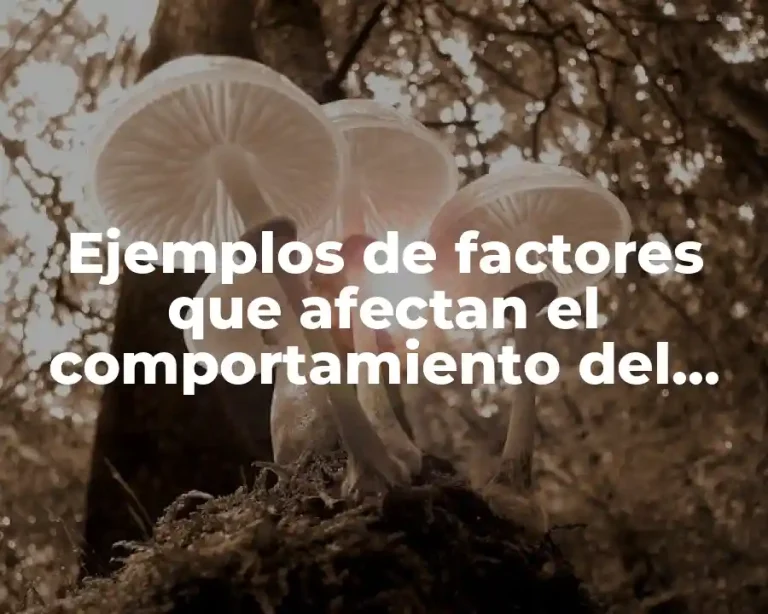 Ejemplos de factores que afectan el comportamiento del consumidor