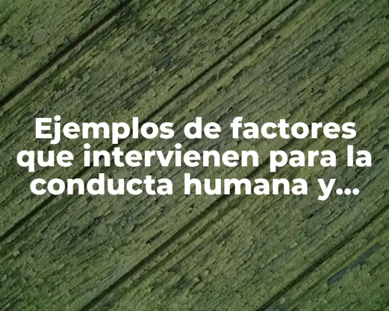 Ejemplos de factores que intervienen para la conducta humana y Significado