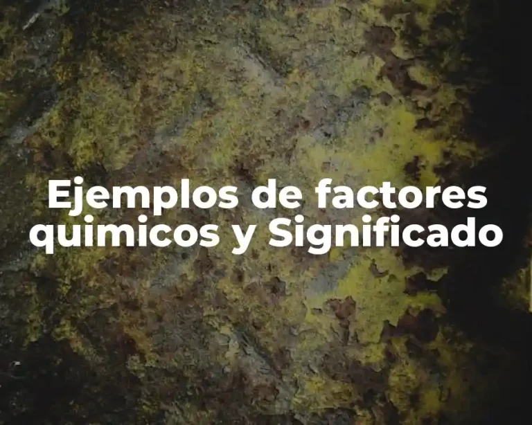 Ejemplos de factores quimicos y Significado