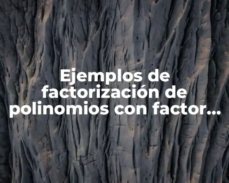 Ejemplos de factorización de polinomios con factor común
