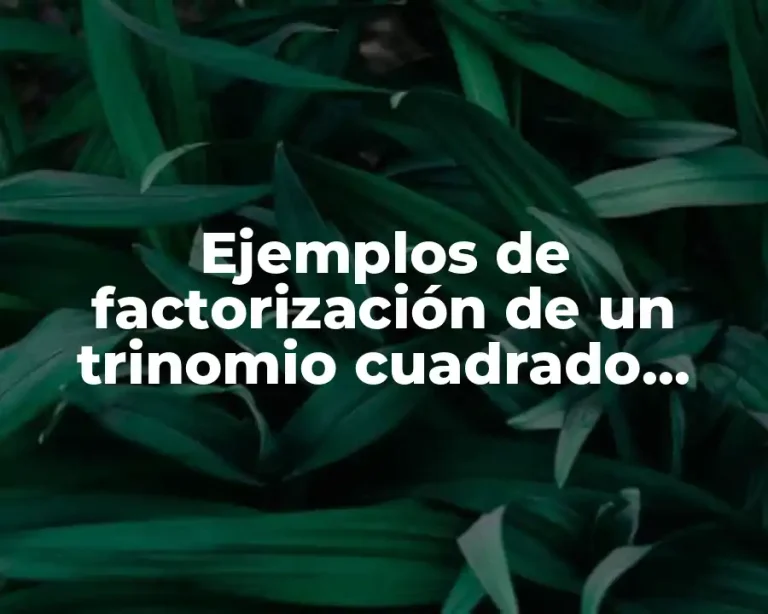 Ejemplos de factorización de un trinomio cuadrado perfecto y Significado