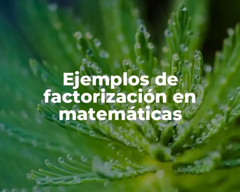 Ejemplos de factorización en matemáticas
