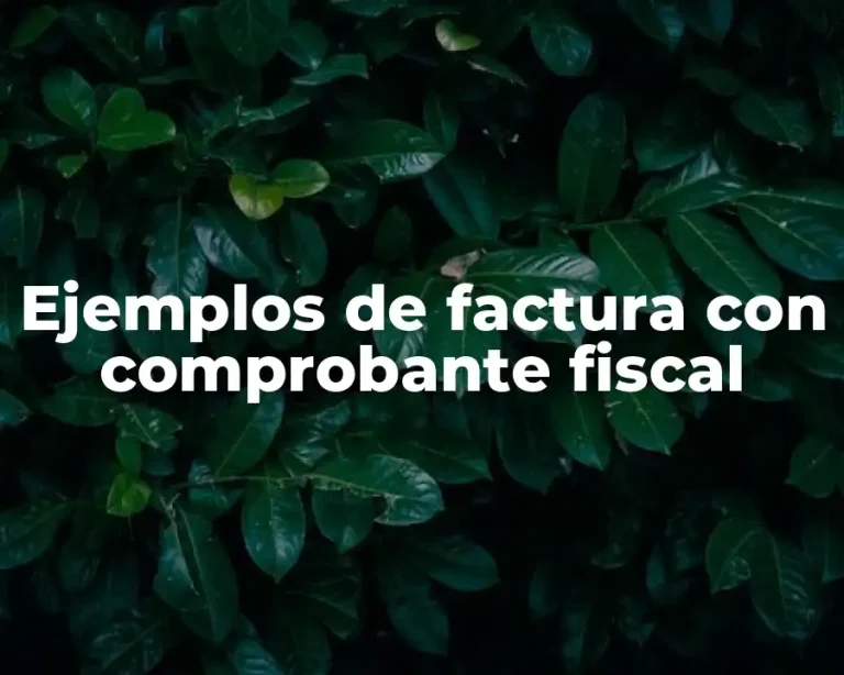 Ejemplos de factura con comprobante fiscal