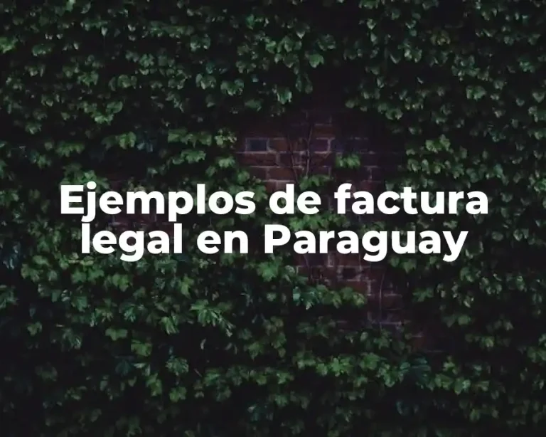 Ejemplos de factura legal en Paraguay