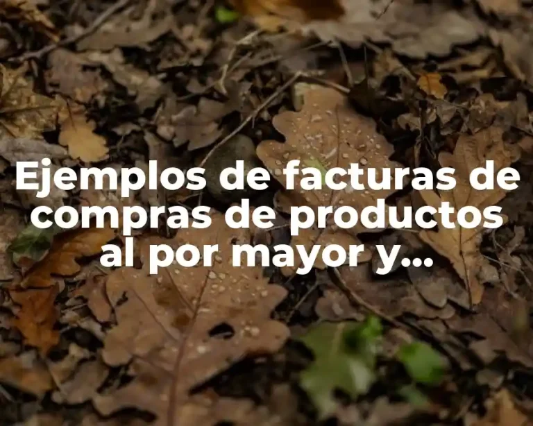 Ejemplos de facturas de compras de productos al por mayor y Significado