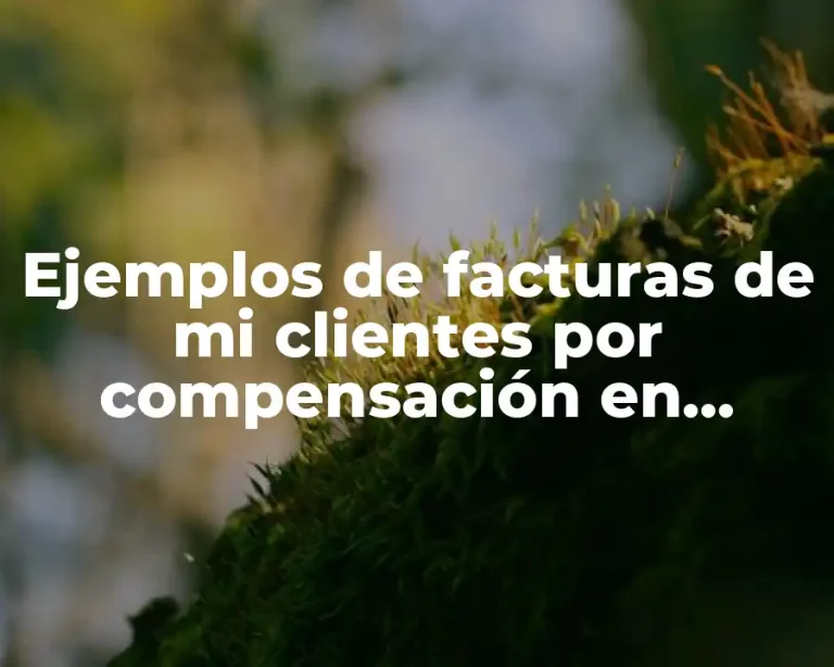 Ejemplos de facturas de mi clientes por compensación en proscai
