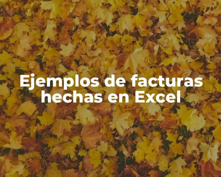 Ejemplos de facturas hechas en Excel