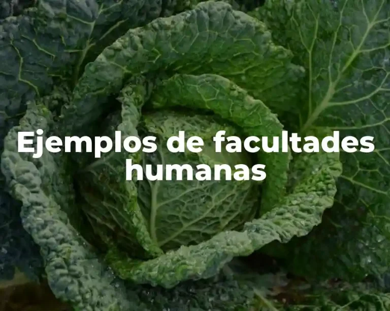 Ejemplos de facultades humanas