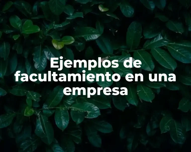 Ejemplos de facultamiento en una empresa