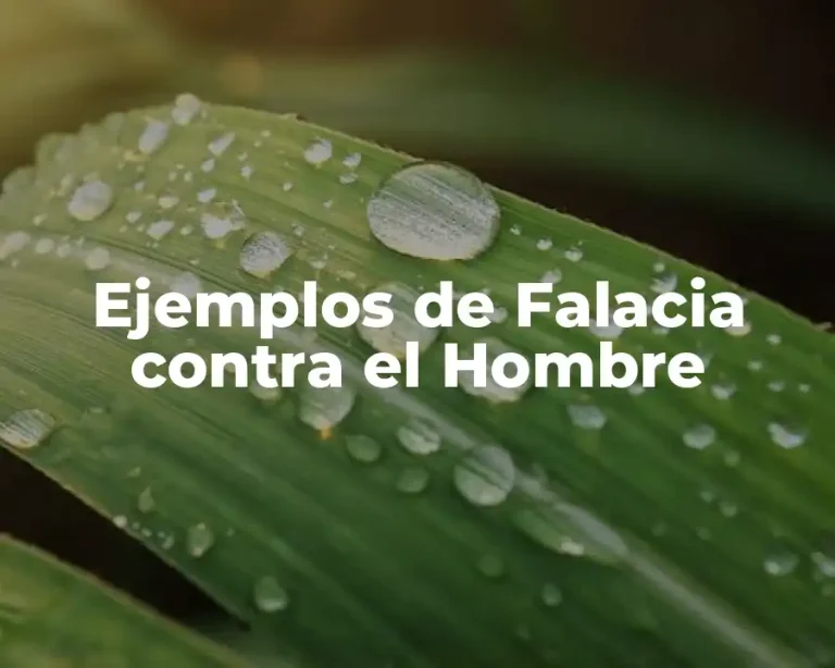 Ejemplos de Falacia contra el Hombre
