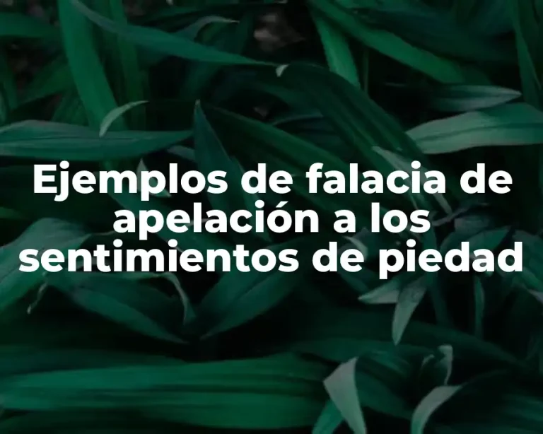 Ejemplos de falacia de apelación a los sentimientos de piedad