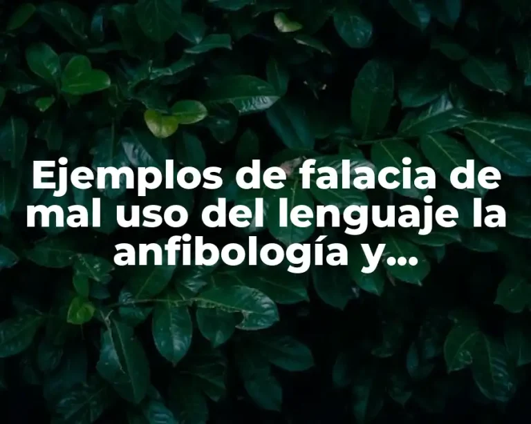Ejemplos de falacia de mal uso del lenguaje la anfibología y Significado