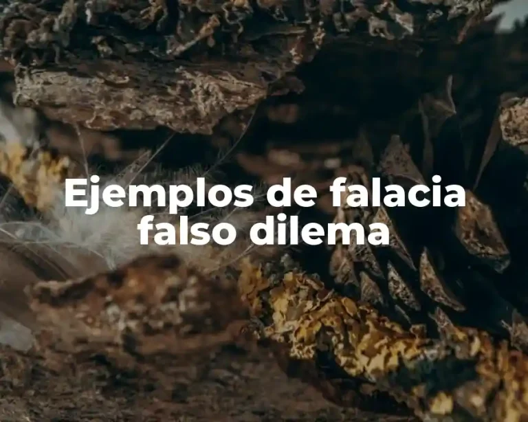 Ejemplos de falacia falso dilema