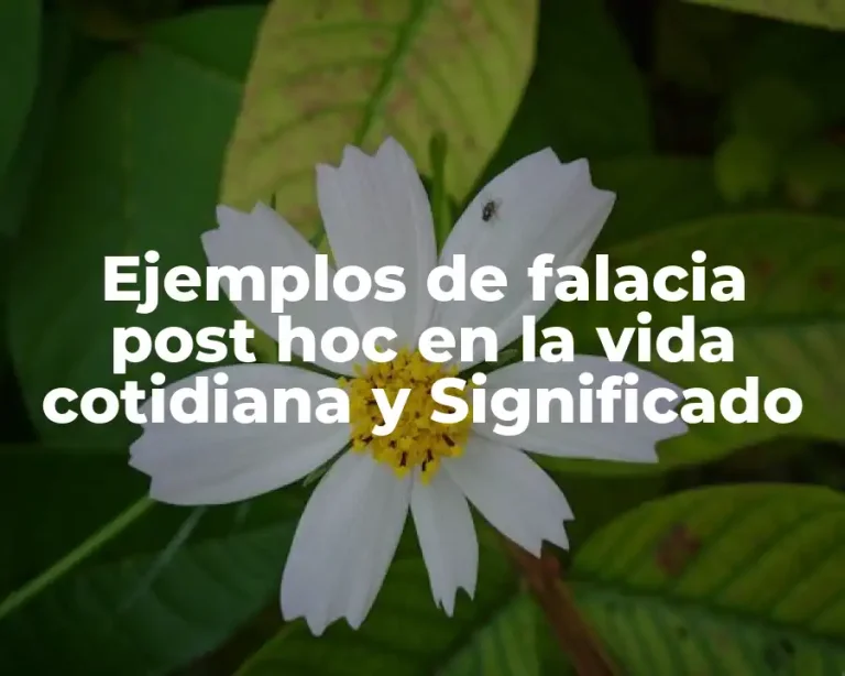 Ejemplos de falacia post hoc en la vida cotidiana y Significado