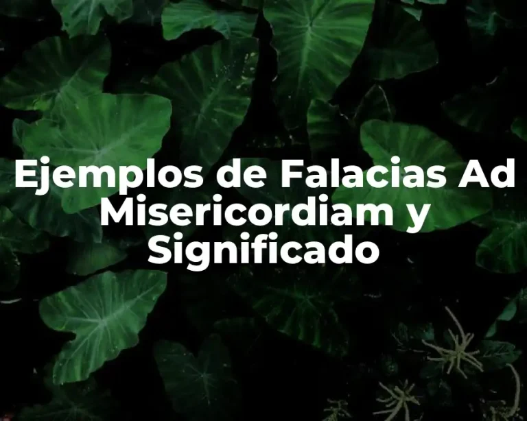 Ejemplos de Falacias Ad Misericordiam y Significado
