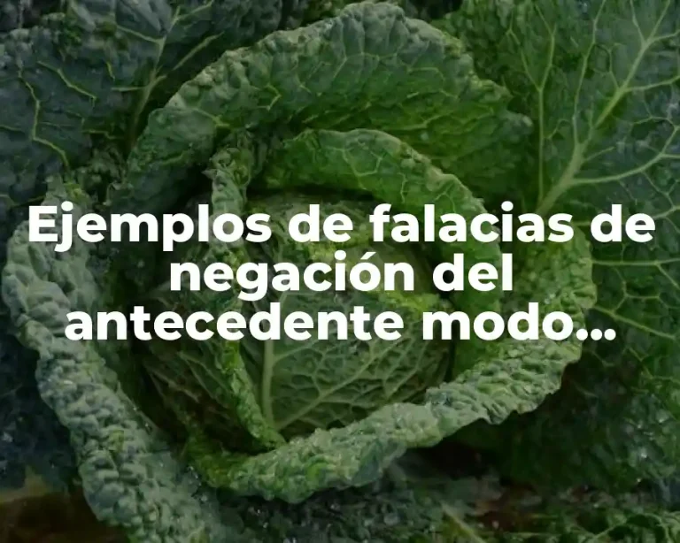 Ejemplos de falacias de negación del antecedente modo tollens y Significado