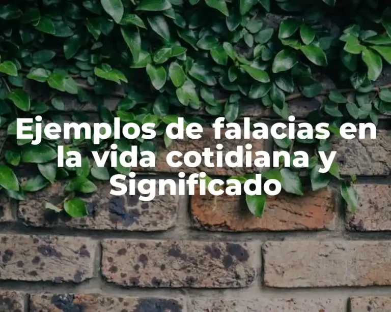 Ejemplos de falacias en la vida cotidiana y Significado