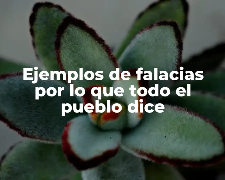 Ejemplos de falacias por lo que todo el pueblo dice