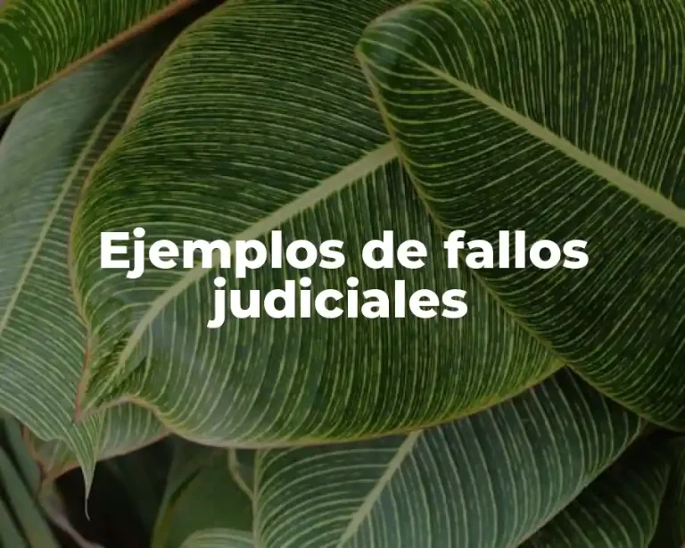 Ejemplos de fallos judiciales