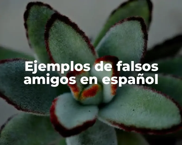 Ejemplos de falsos amigos en español