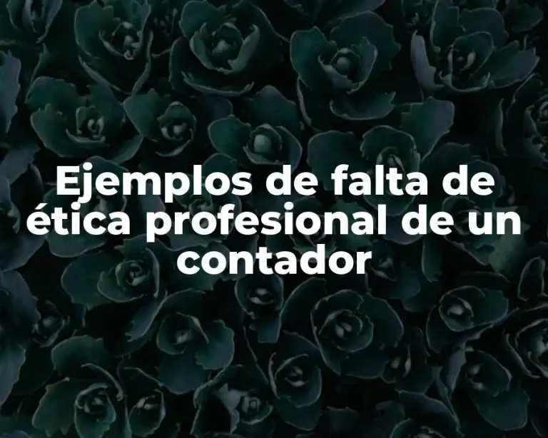 Ejemplos de falta de ética profesional de un contador