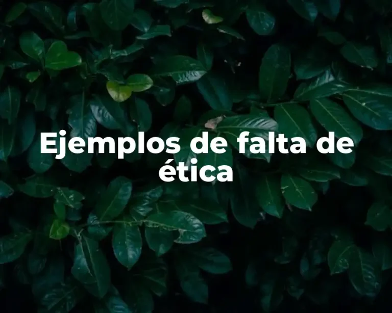 Ejemplos de falta de ética