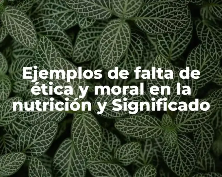 Ejemplos de falta de ética y moral en la nutrición y Significado