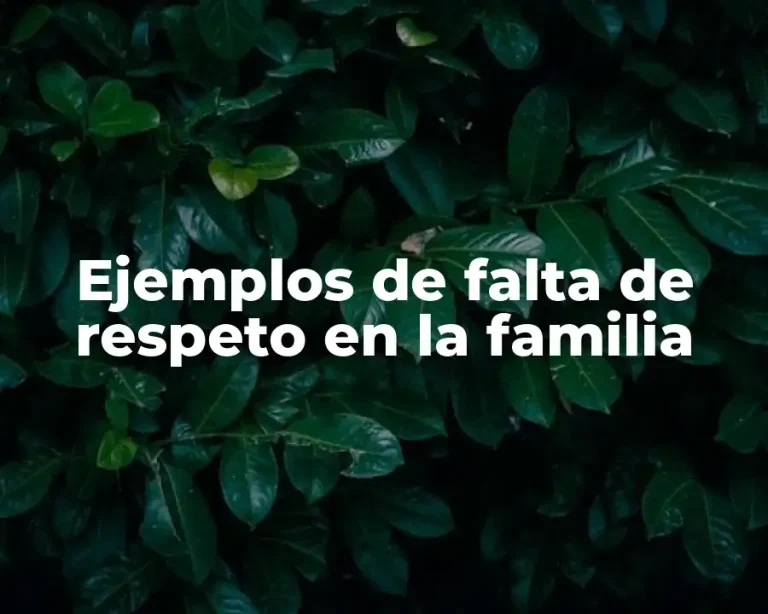 Ejemplos de falta de respeto en la familia