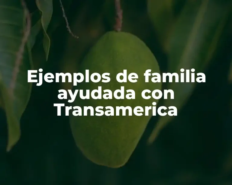 Ejemplos de familia ayudada con Transamerica
