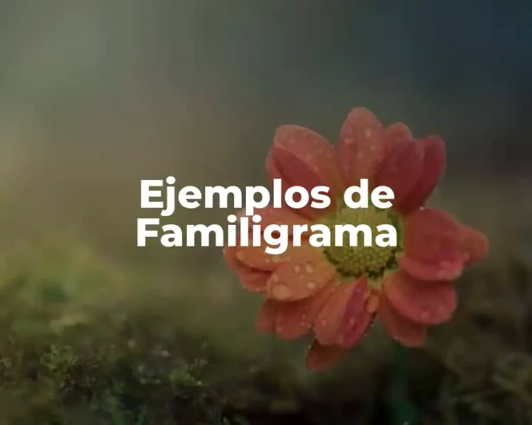 Ejemplos de Familigrama