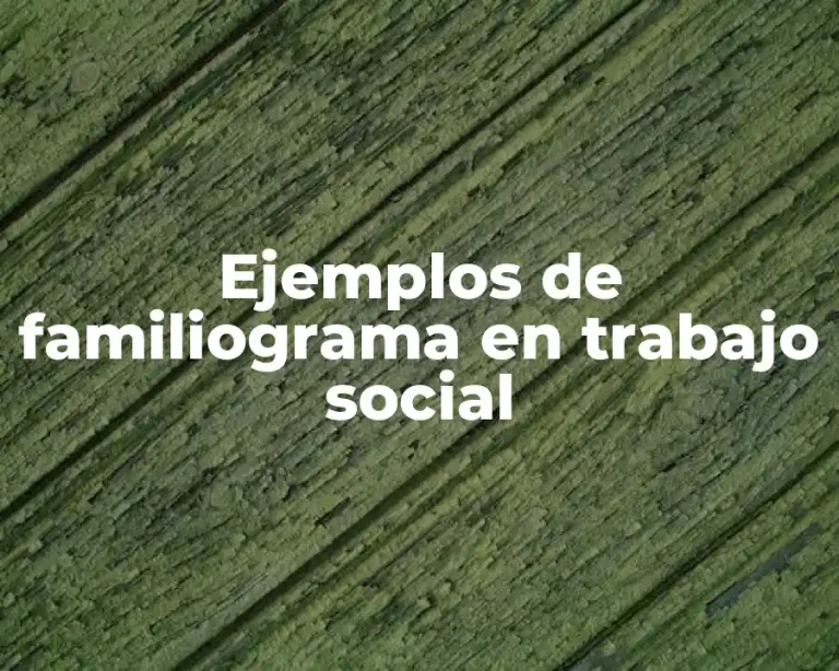 Ejemplos de familiograma en trabajo social