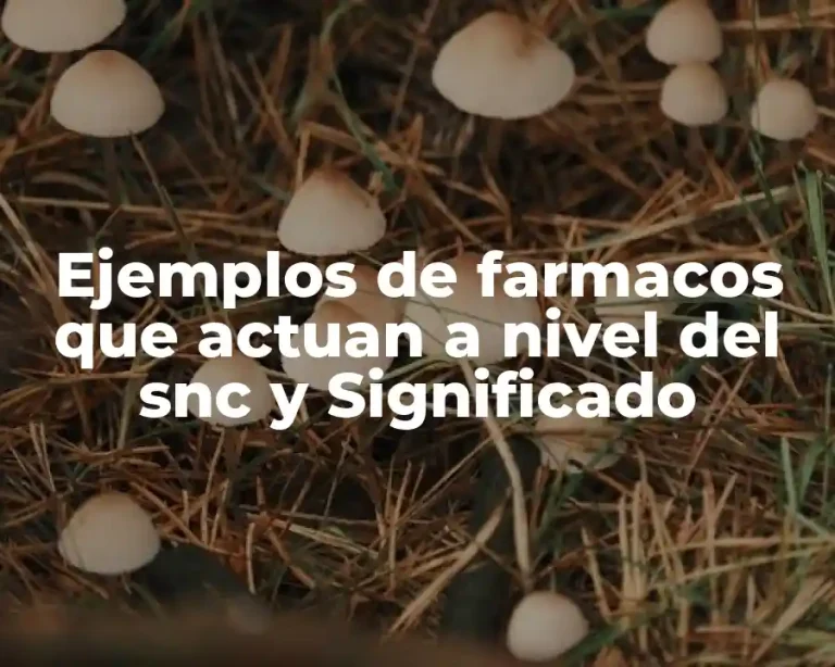 Ejemplos de farmacos que actuan a nivel del snc y Significado