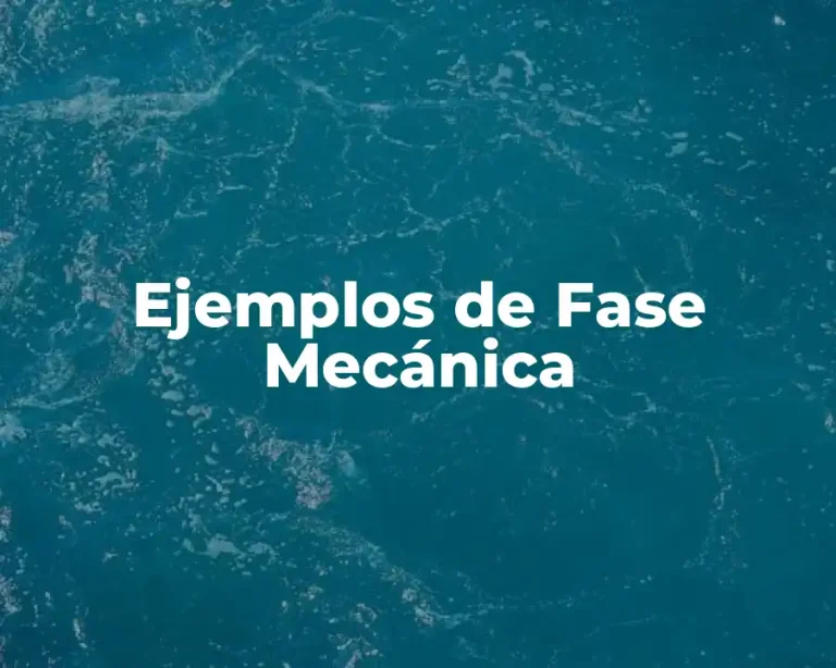 Ejemplos de Fase Mecánica