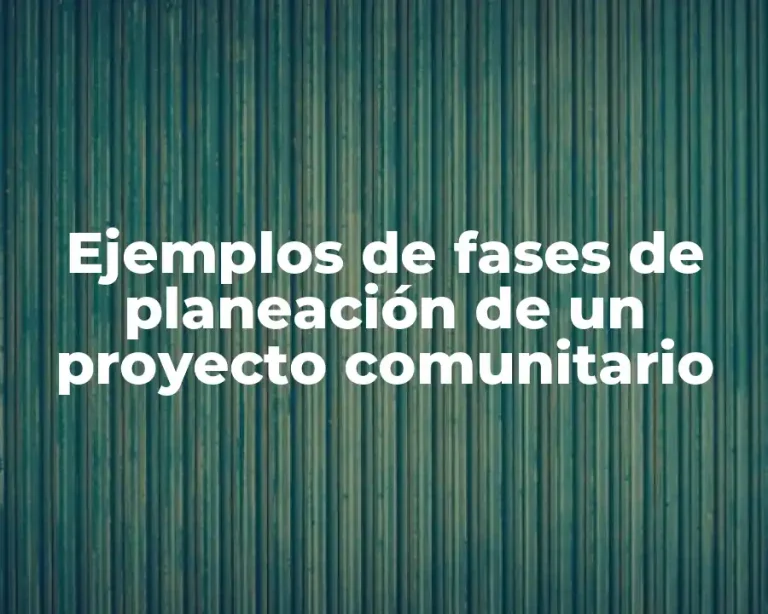 Ejemplos de fases de planeación de un proyecto comunitario