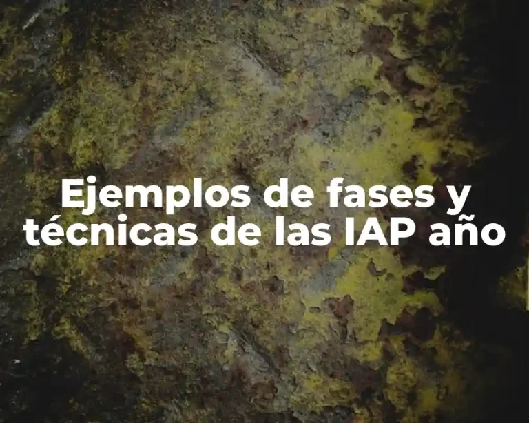 Ejemplos de fases y técnicas de las IAP año