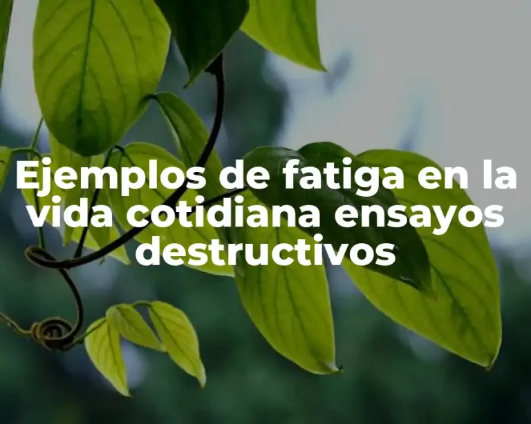 Ejemplos de fatiga en la vida cotidiana ensayos destructivos