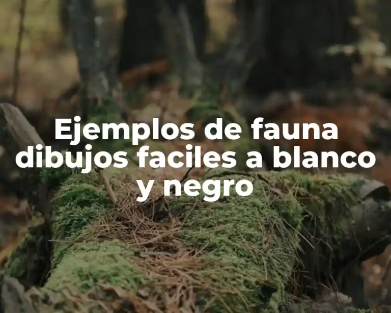 Ejemplos de fauna dibujos faciles a blanco y negro