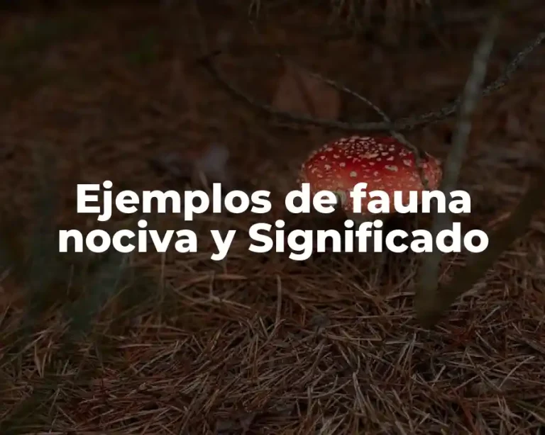Ejemplos de fauna nociva y Significado