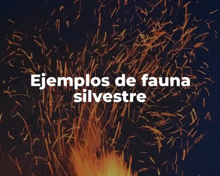 Ejemplos de fauna silvestre