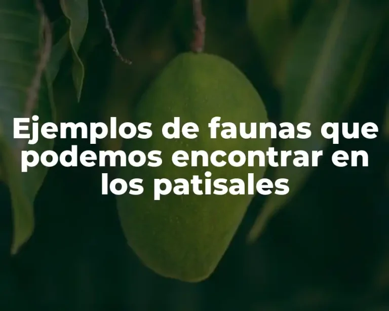 Ejemplos de faunas que podemos encontrar en los patisales