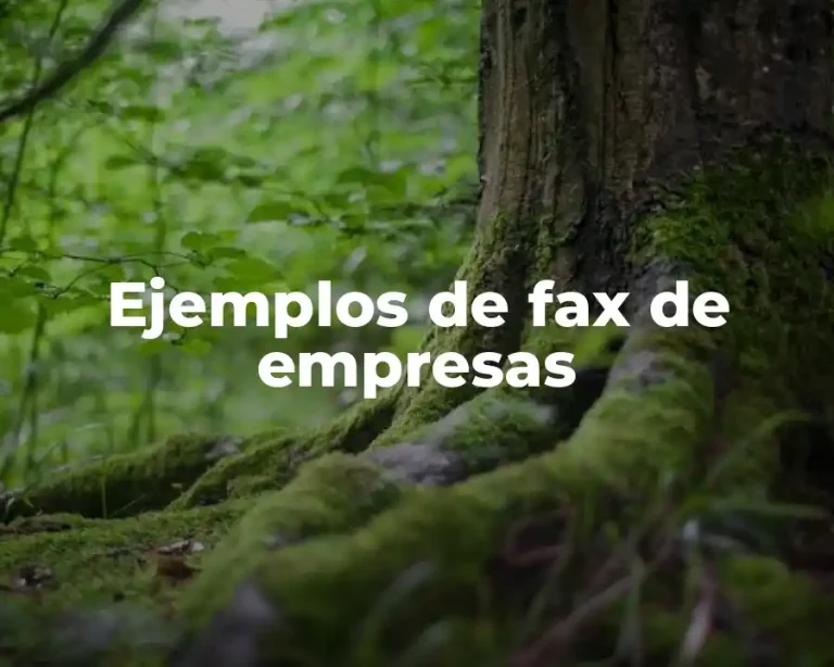 Ejemplos de fax de empresas