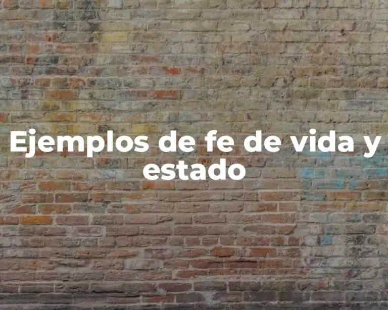 Ejemplos de fe de vida y estado