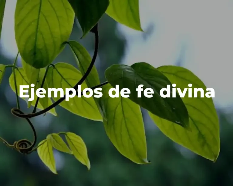 Ejemplos de fe divina