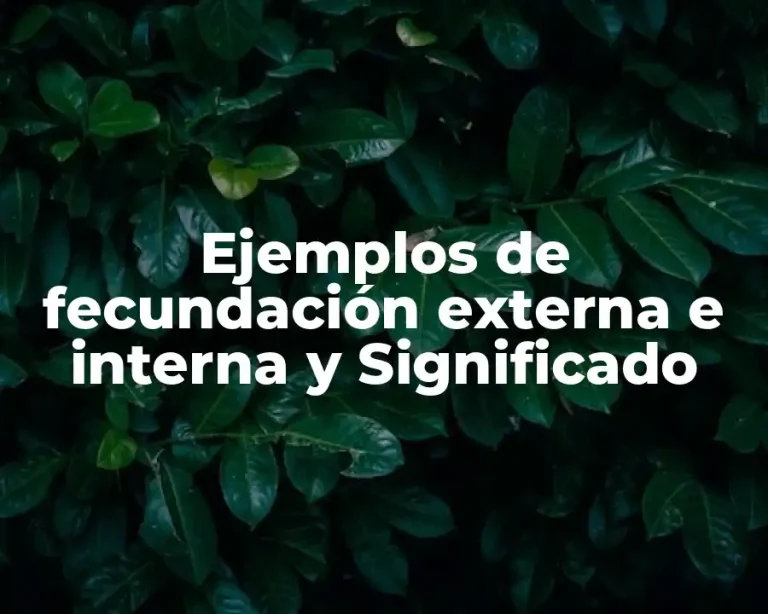 Ejemplos de fecundación externa e interna y Significado
