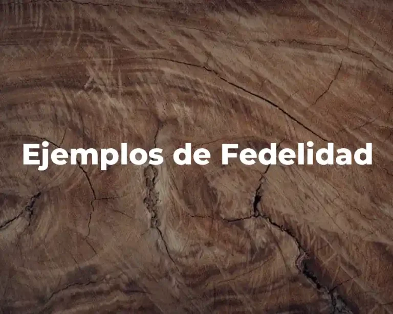 Ejemplos de Fedelidad