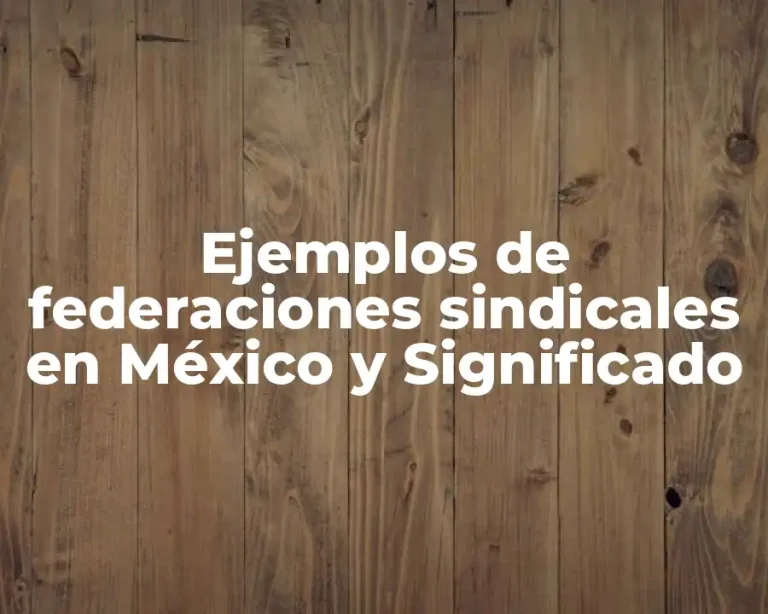 Ejemplos de federaciones sindicales en México y Significado